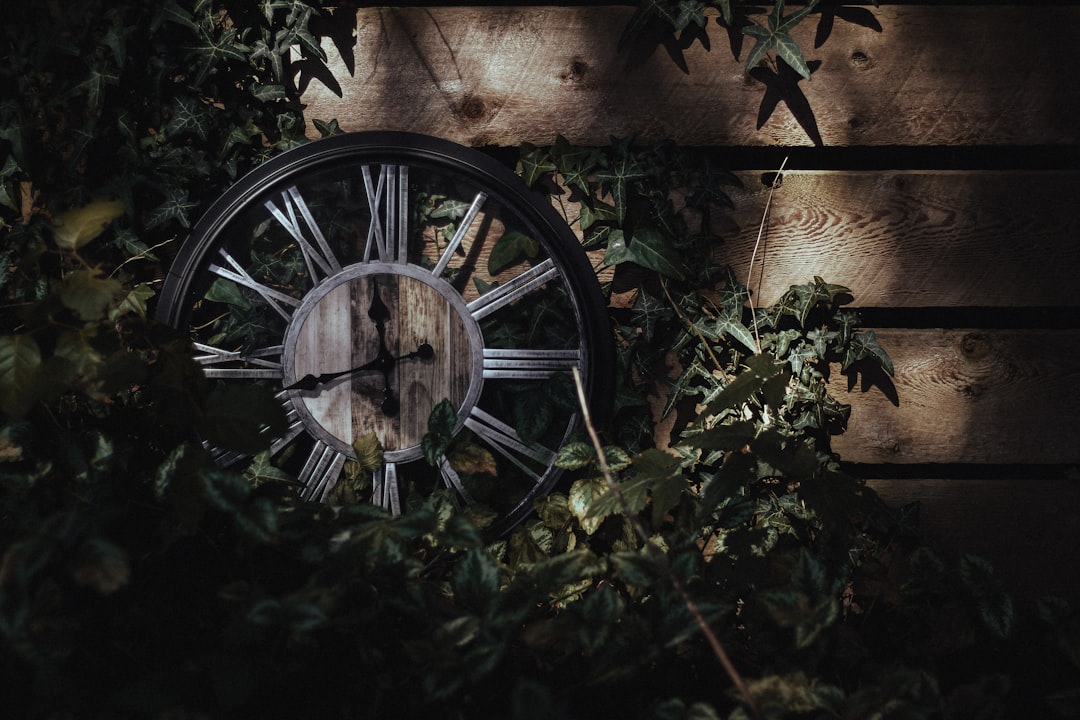 Kuckucksuhr aus dem Schwarzwald: Was in Triberg wirklich zählt - Triberg | Secret World Trip Planner