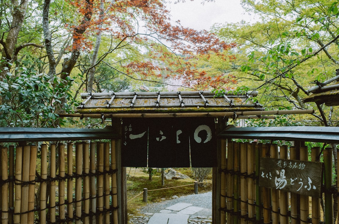 とんかつを京都で食べるなら：季節と時期の選び方 - Kyoto | Secret World Trip Planner