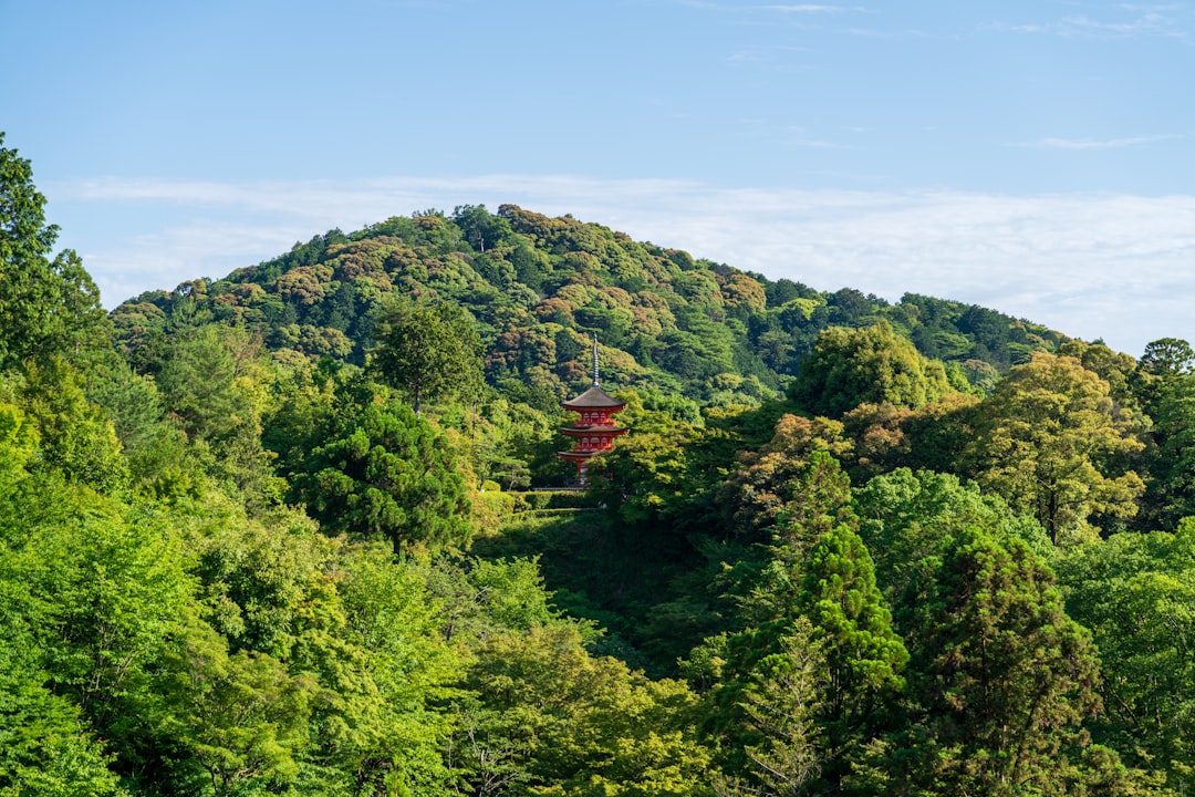 清水寺はいつ行くべき?月別・季節別の完全ガイド - Osaka | Secret World Trip Planner