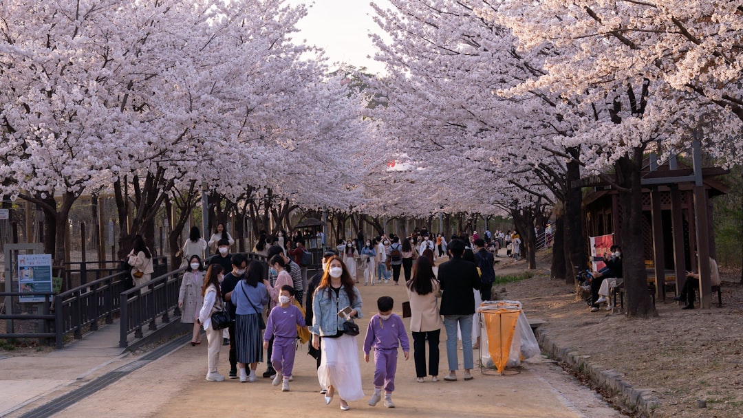 서울 하루 코스: 용산에서 성수까지 나만의 루트 - Seoul | Secret World Trip Planner