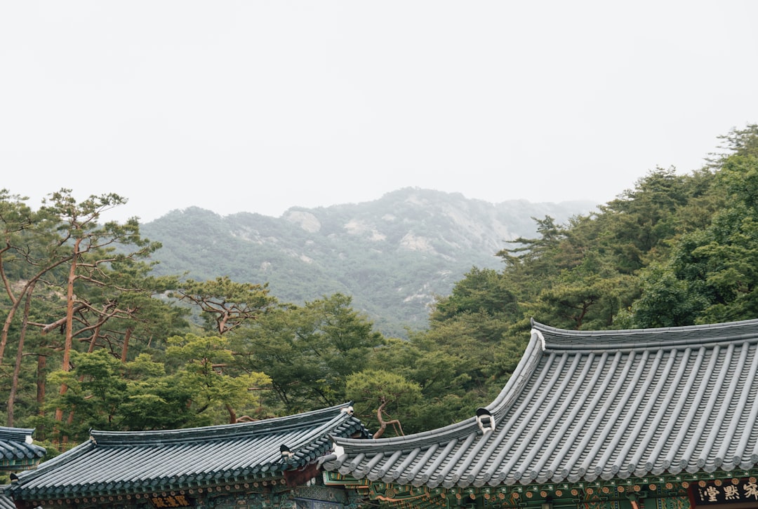 부산 여행 예산 가이드: 진짜 비용과 현실적인 팁 - Gangnam | Secret World Trip Planner