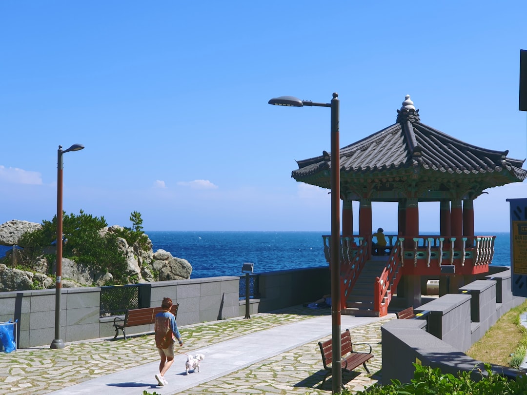 부산 삼겹살 하루 코스: 고기 없이는 못 사는 사람을 위해 - Busan | Secret World Trip Planner
