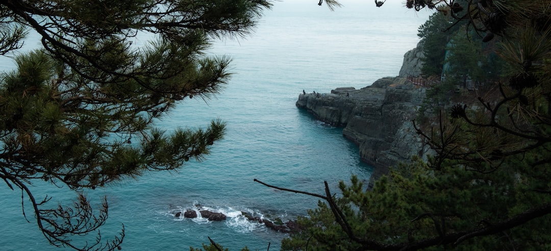 세계에서 가장 오래된 숲 FAQ: 부산에서 떠올린 질문들 - Busan | Secret World Trip Planner