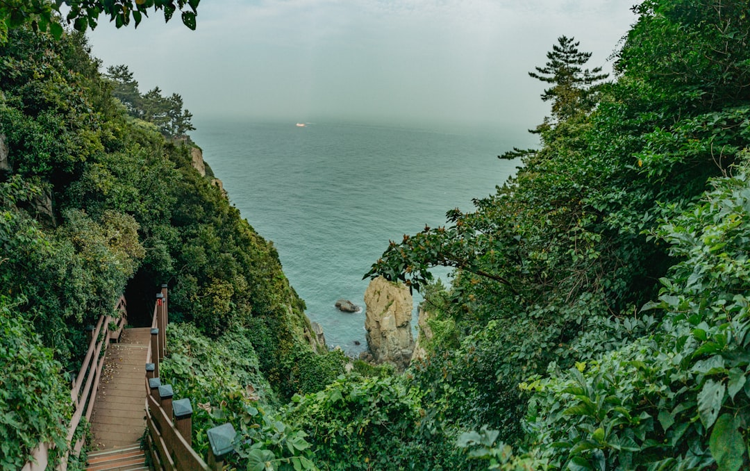 세계에서 가장 깊은 협곡 – 부산에서 떠나는 지구의 깊이 탐험 - Busan | Secret World Trip Planner