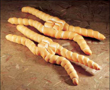 La parella de Ferrares