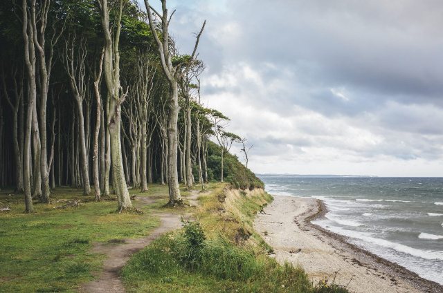 Bosque Pantasma de Nienhagen - Nienhagen | Secret World Trip Planner
