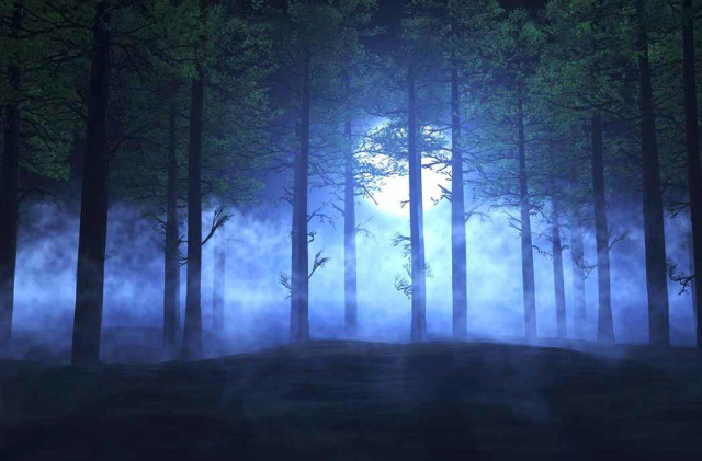 Luces pantasmas Aleya - খুলনা | Secret World Trip Planner