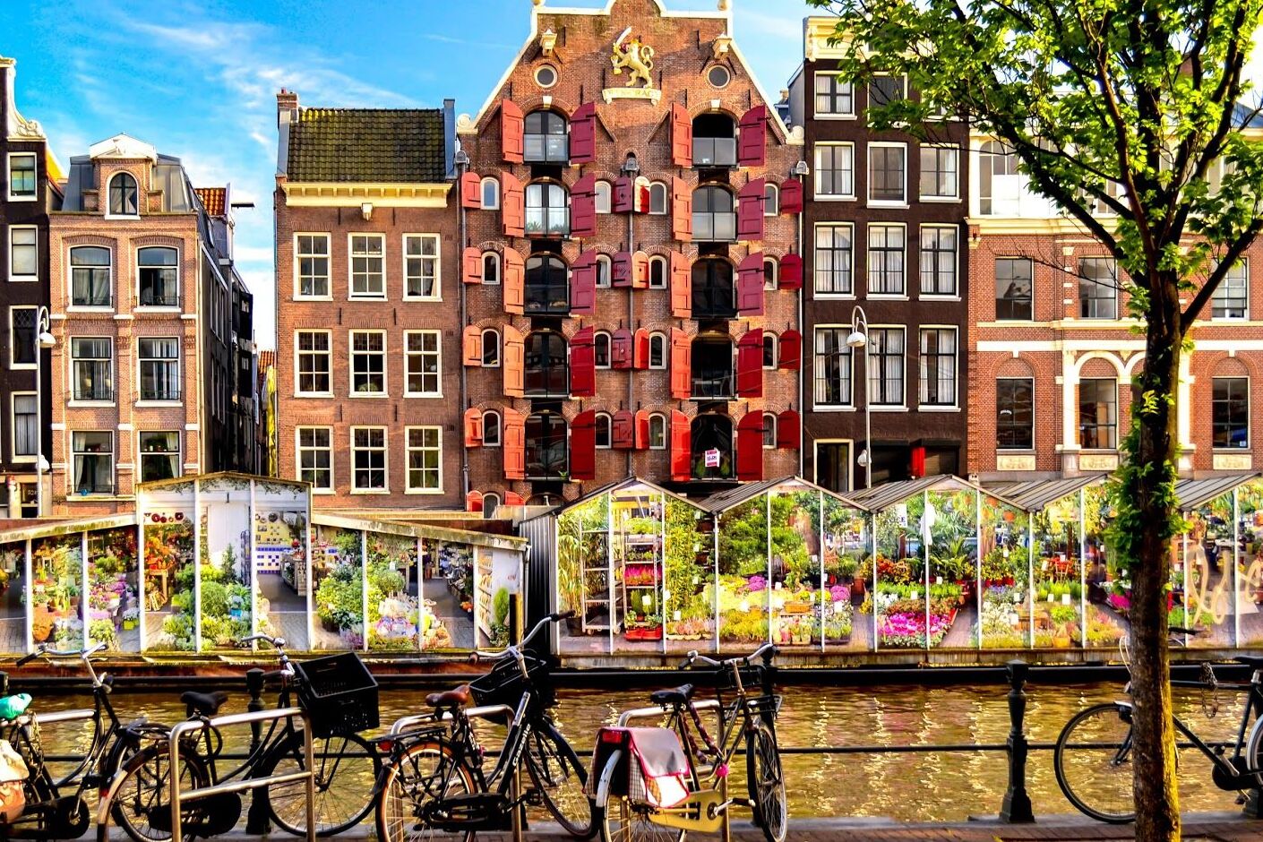 A Amsterdam Mercado De Flores - Amsterdam | Secret World Trip Planner