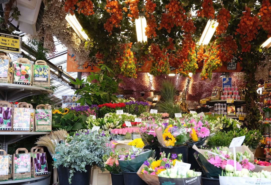 A Amsterdam Mercado De Flores - Amsterdam | Secret World Trip Planner