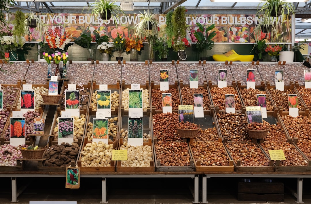 A Amsterdam Mercado De Flores - Amsterdam | Secret World Trip Planner