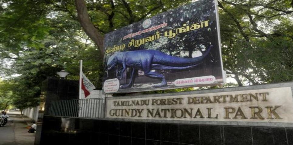 Guindijas Nacionālais Parks - Chennai | Secret World Trip Planner
