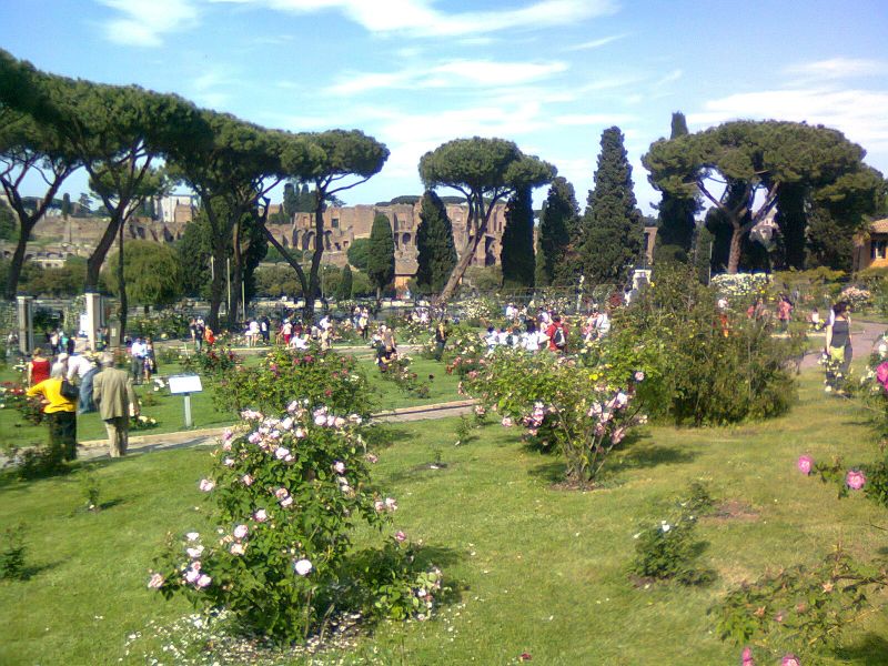 Roseto comunale सभी'aventino
