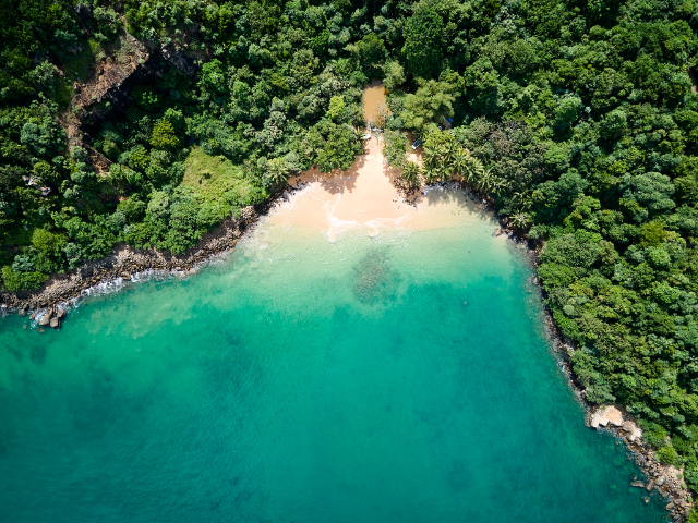 Jungle Plajı - Jungle Beach | Secret World Trip Planner