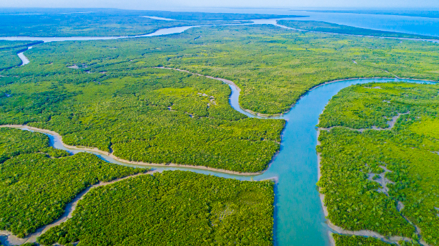 La foresta di riserva di Sundarbans (SRF) | Secret World Trip Planner