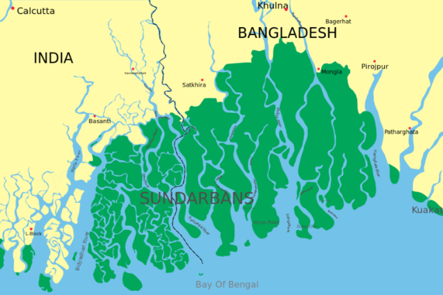 La foresta di riserva di Sundarbans (SRF) | Secret World Trip Planner