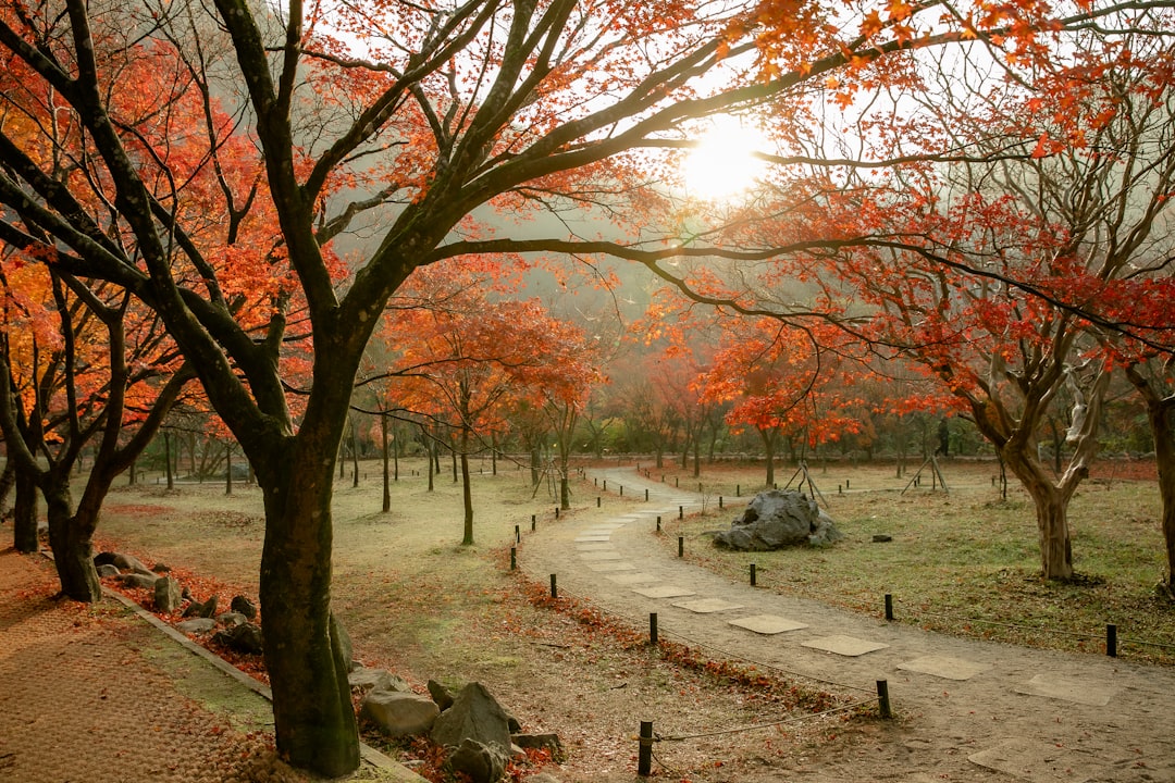 Seúl: Samneung Park - Gangnam-gu | Secret World Trip Planner