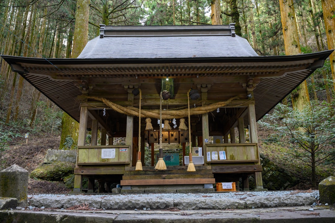 Osakos Sumiyoshi Taisha yra viena iš seniausių Japonijos šventovių - Kita, Osaka | Secret World Trip Planner