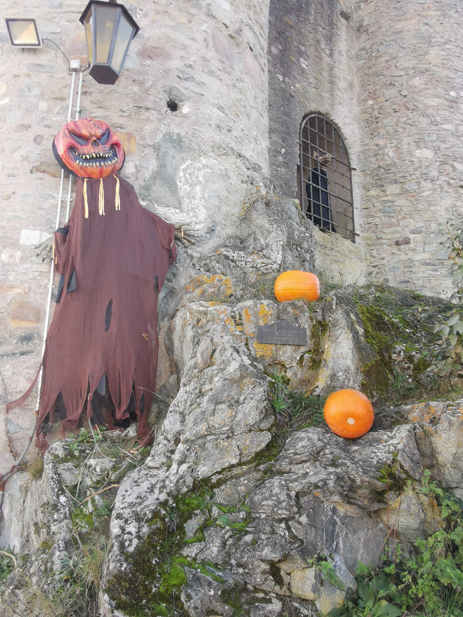 Königstein Fortress - Königstein im Taunus | Secret World Trip Planner