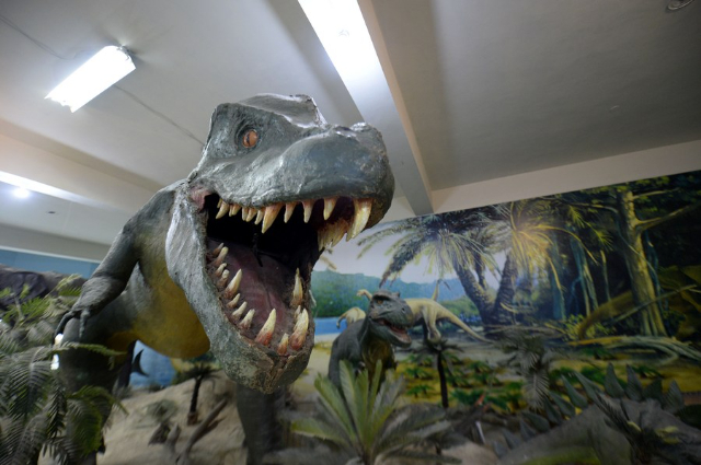 Museo de Historia Natural de Pakistán (PMNH) - Islamabad | Secret World Trip Planner