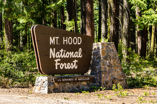 Forêt nationale de Mt. Hood - Mt Hood National Forest | Secret World Trip Planner