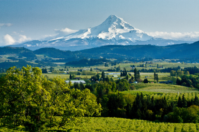 胡德山国家森林公园 - Mt Hood National Forest | Secret World Trip Planner