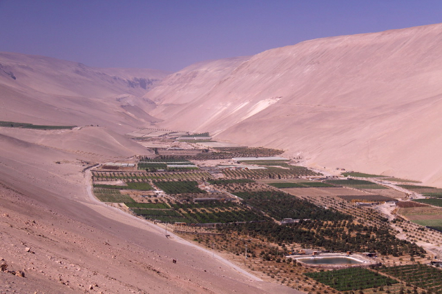 Vina doline Azapa - Arica | Secret World Trip Planner