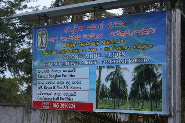 Kokosov kulturni park - Kalkudah | Secret World Trip Planner