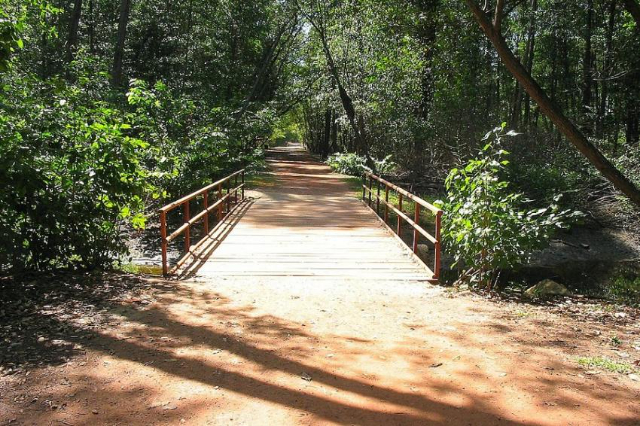 Cocó riiklik park - Fortaleza - CE | Secret World Trip Planner