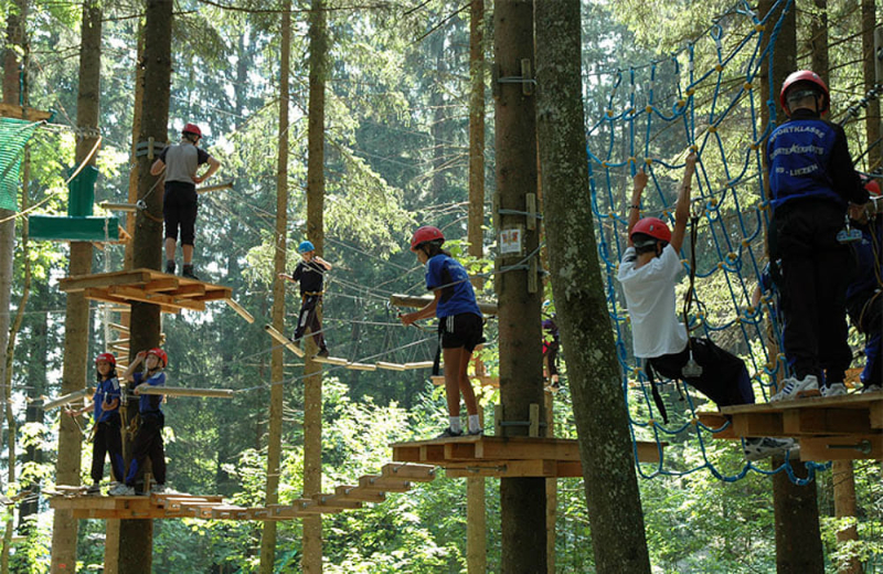 ปิเนตาทริบูคชิ