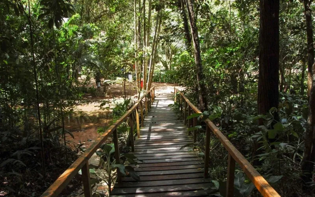 Maceio ၏မြူနီစီပယ်ပန်းခြံ - Maceió - AL | Secret World Trip Planner