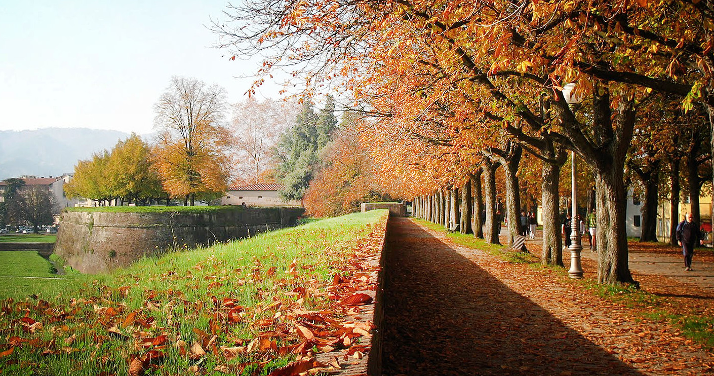 Выдатныя сцены Лукка - Lucca | Secret World Trip Planner