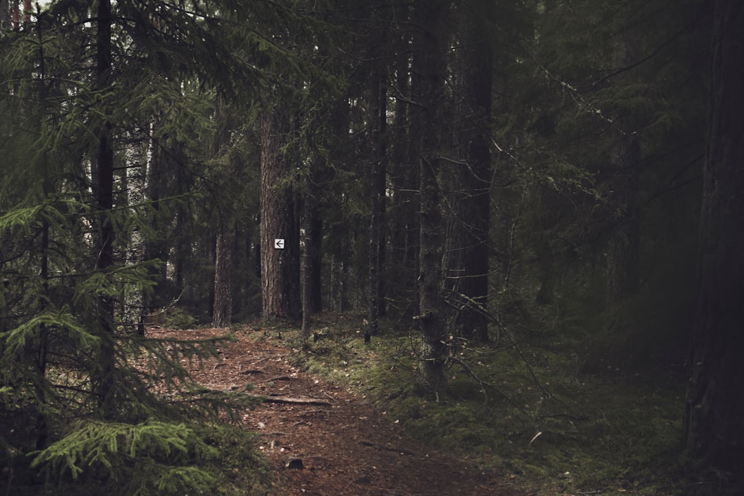 Švedska: Ponoćni Trag (Midnattsol Stigen) - Campingvägen 5 | Secret World Trip Planner