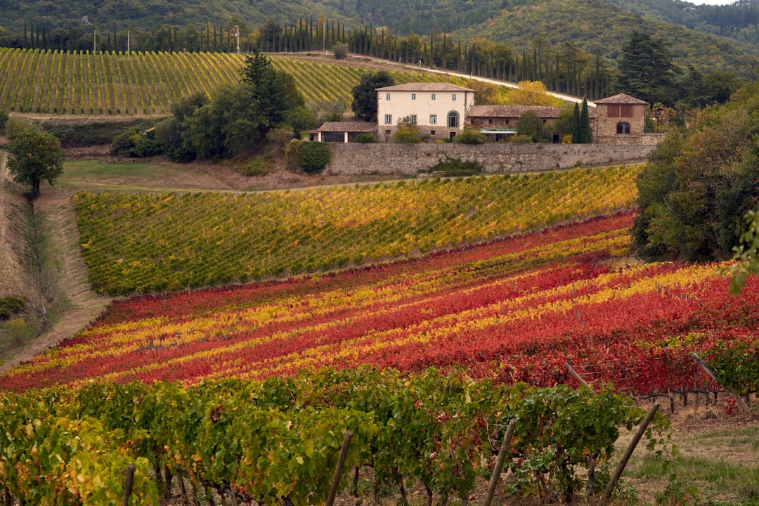 Hügel, alte Dörfer und Weinberge: Val d'Orcia - Pienza | Secret World Trip Planner