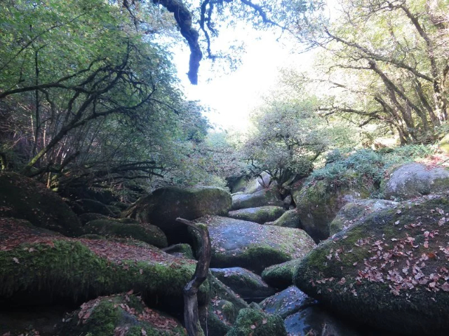 Toull Gorge Goulig - Lanrivain | Secret World Trip Planner
