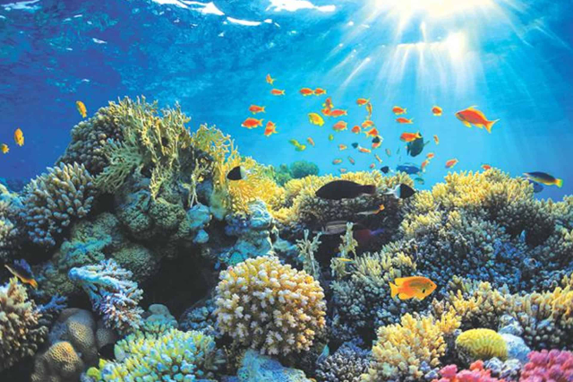 Хиккадува - Hikkaduwa | Secret World Trip Planner