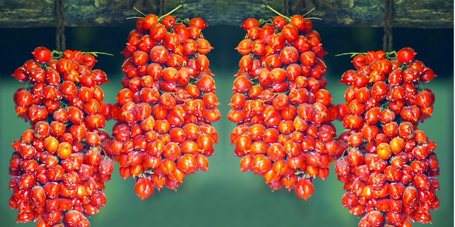 Tomates piennolo del Vesubio - Somma Vesuviana | Secret World Trip Planner