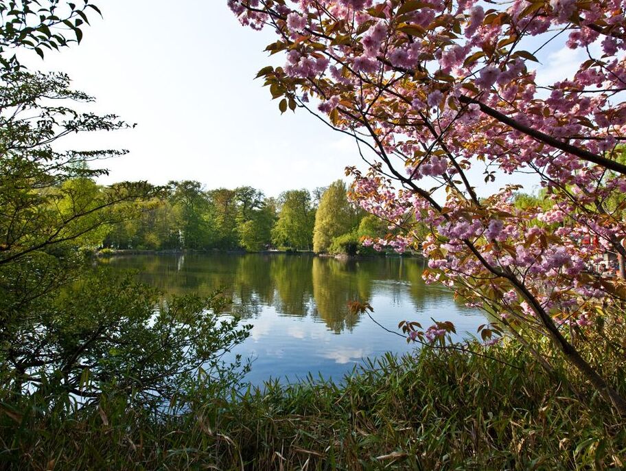 Sauvabelin Park i Luzern - Losanna | Secret World Trip Planner