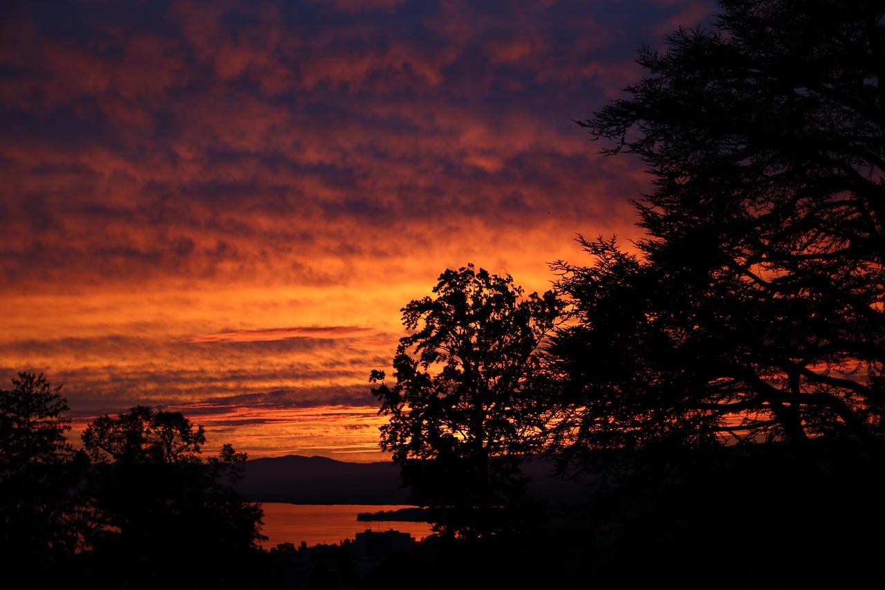 Schweiz: Fondue: bäst i Lausanne - Losanna | Secret World Trip Planner