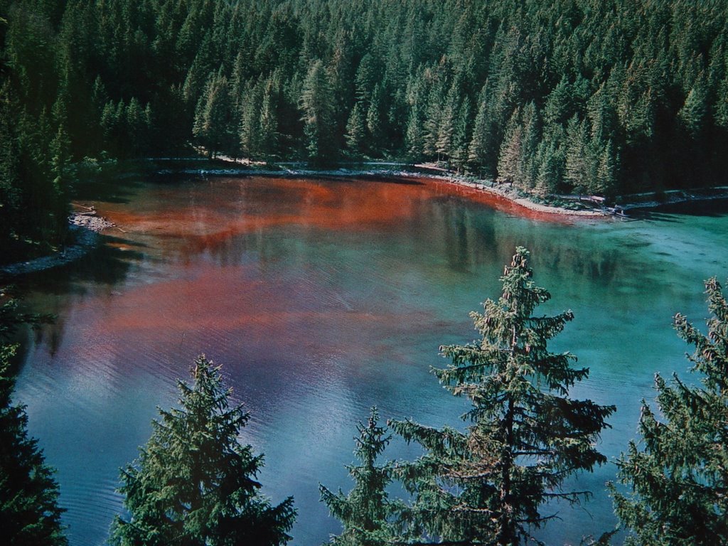 トベル湖 - Lago di Tovel | Secret World Trip Planner