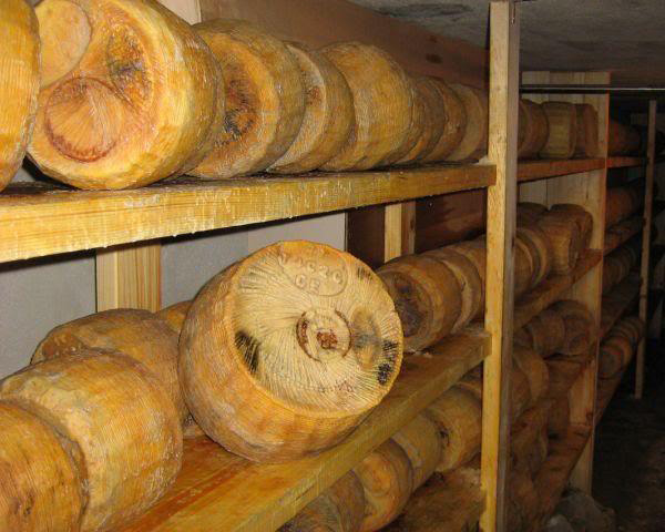 Canestrato Puglia
