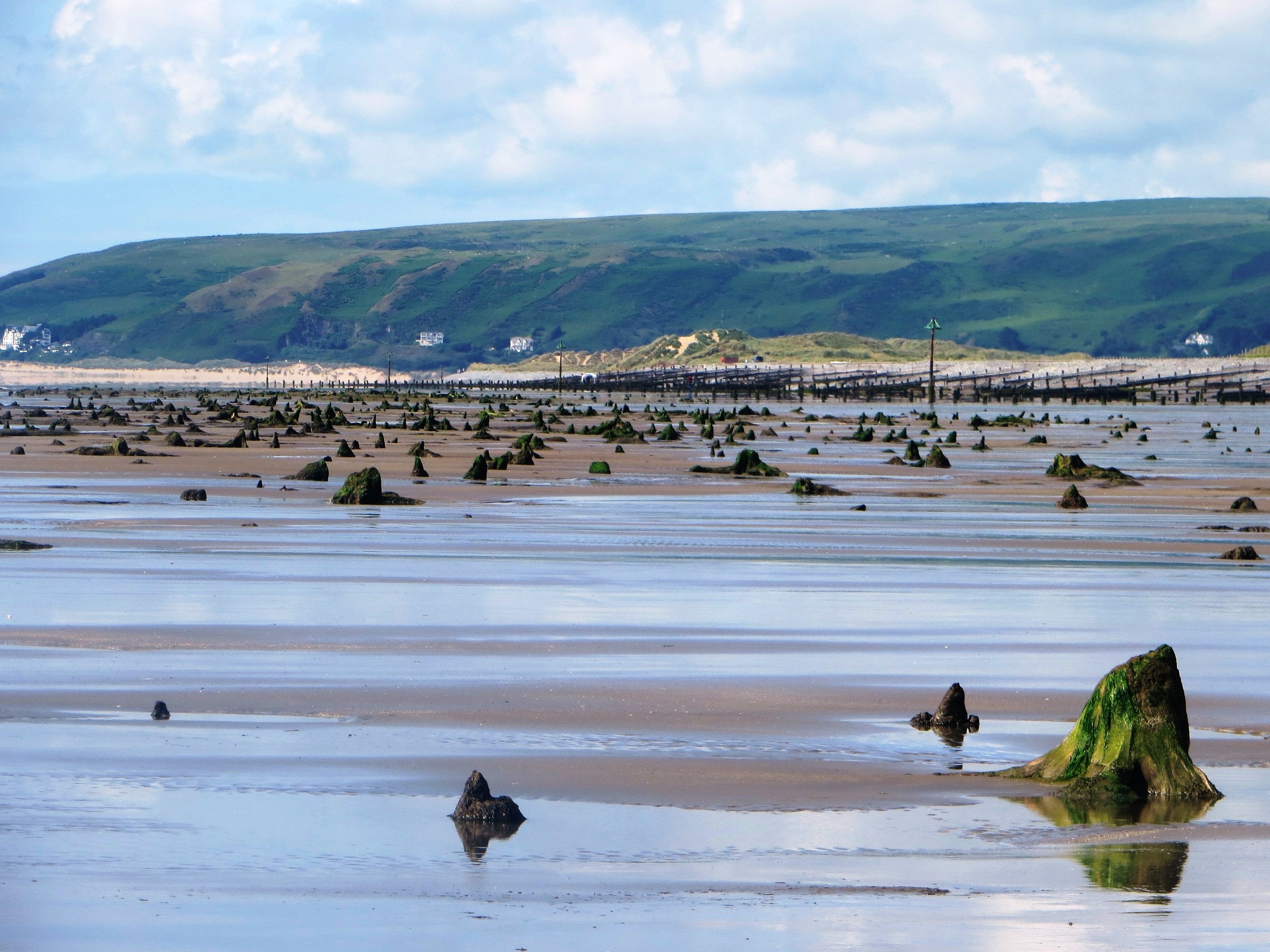 令人惊叹的被遗忘的森林（威尔士) - Borth | Secret World Trip Planner