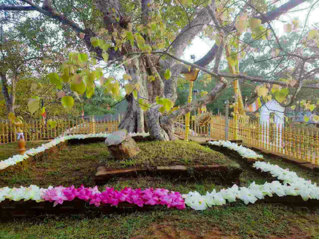 Jaya Sri Maha Bodhi - Distretto di Anuradhapura | Secret World Trip Planner