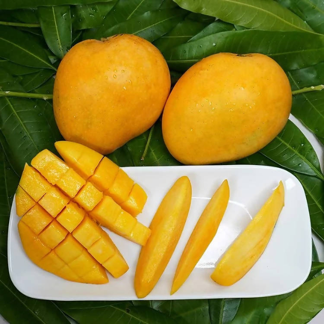 Banganapalli Mango - Banaganapalli | Secret World Trip Planner
