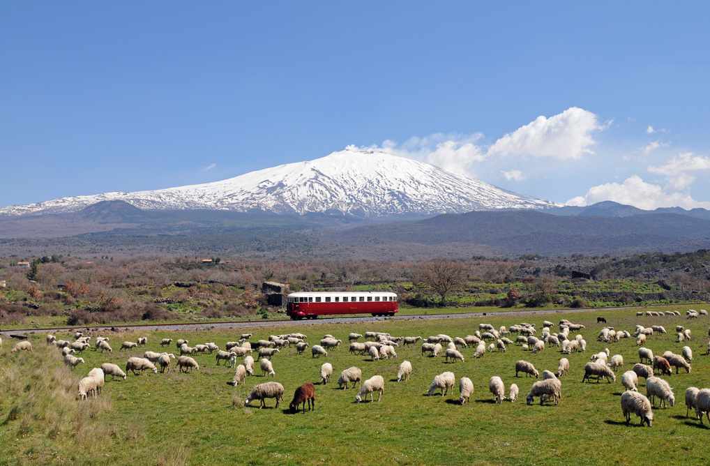 Circumetnea
