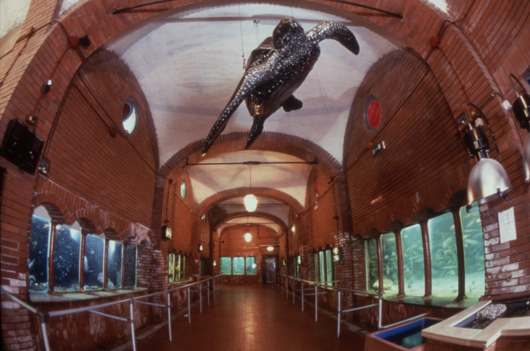 Antona Dorna zooloģiskā stacija Neapolē - Napoli | Secret World Trip Planner