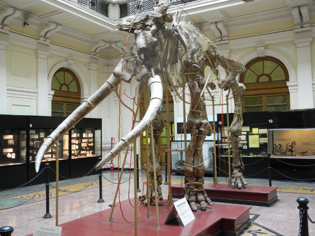 Giacomo Doria Historia Naturalaren Museo Zibikoa - Genova | Secret World Trip Planner