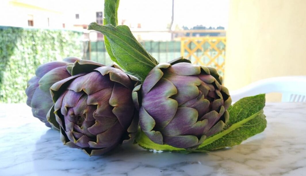 Castellammare ஊதா அல்லது Schito கூனைப்பூ - Castellammare di Stabia | Secret World Trip Planner