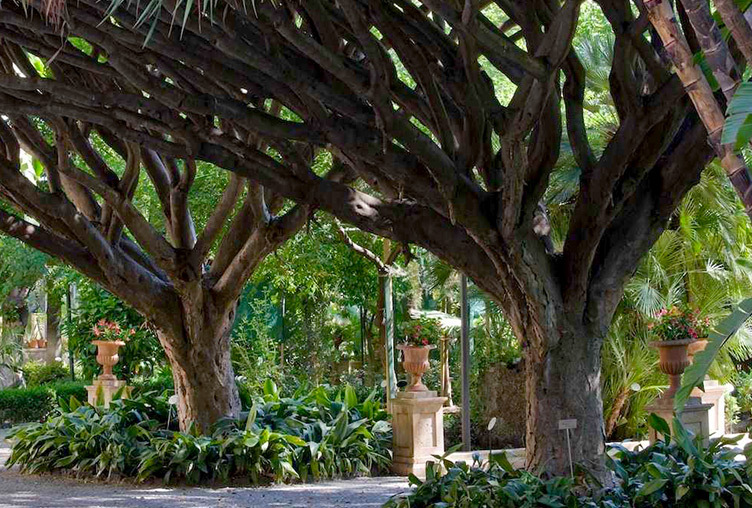 Ang botaniko Garden, Ang berdeng baga ng pusa - Catania | Secret World Trip Planner
