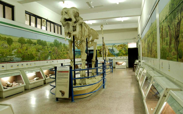 The Pakistan Museum of Natural History (PMNH) - Islamabad | Secret World Trip Planner