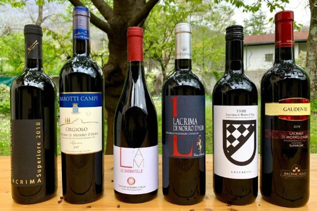 Morro d'Alba, the village of Lacrima wine - Morro d'Alba | Secret World Trip Planner